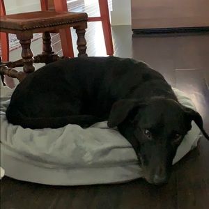 Meet your Posher, Beverly